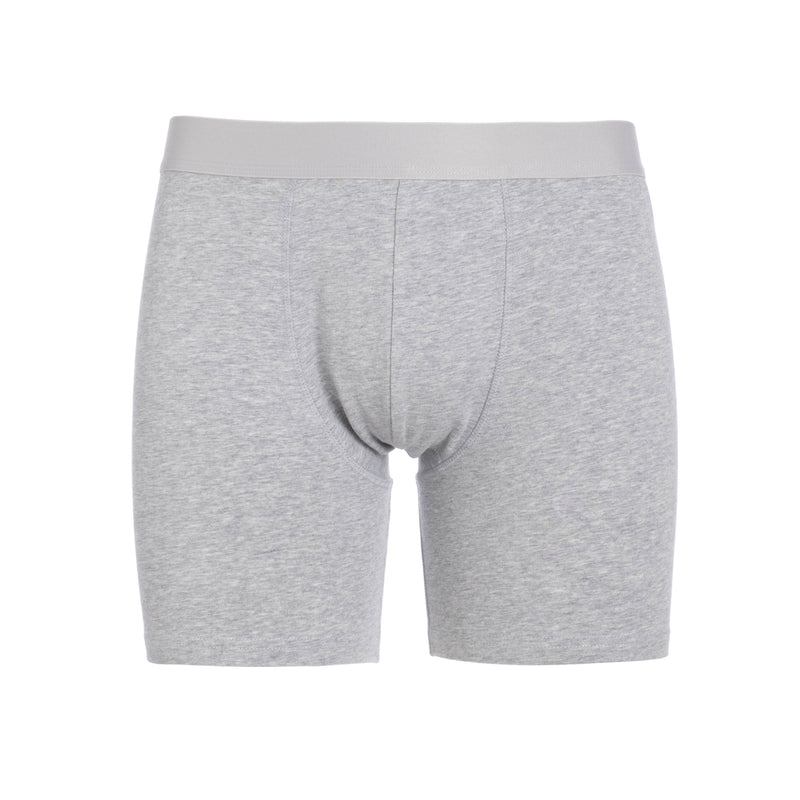 Briefs