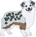 Aussie Shepherd