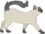 Balinese Cat