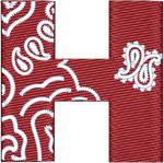 Bandana H