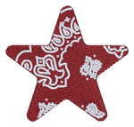Bandana Star