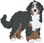 Bernedoodle