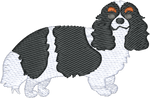Black Cavalier
