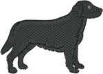 Black Lab