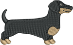 Black and Tan Shorthair Dachshund