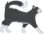 Long Hair Black and White Cat