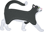 Short Hair Black and White Cat