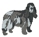 Blue Roan English Cocker Spaniel