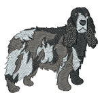 Blue Roan English Cocker Spaniel