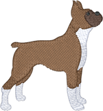 Boxer
