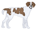 Brittany Spaniel