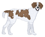 Brittany Spaniel