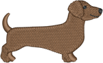 Brown Shorthair Dachshund