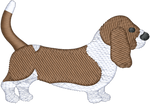 Brown and White Basset Hound