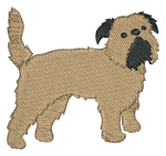 Brussels Griffon