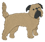 Brussels Griffon