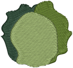 Cabbage