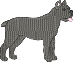 Cane Corso