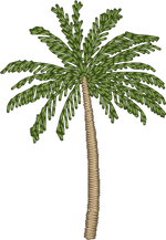 Charleston Palm Tree