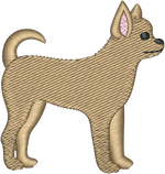 Chihuahua