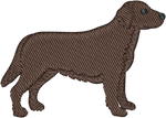 Chocolate Lab