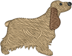 Cocker Spaniel