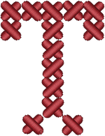 Cross Stitch T