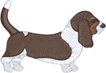 Dark Brown and White Basset Hound