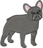 Dark Grey Frenchie