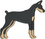 Doberman