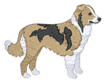 English Shepherd