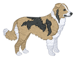 English Shepherd