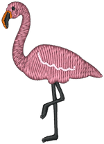 Flamingo