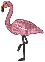 Flamingo