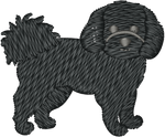 Fluffy Black Dog