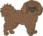Fluffy Brown Dog