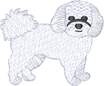 Fluffy White Dog