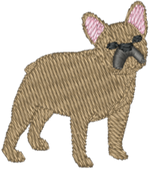 Tan Frenchie