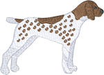 German Shorthaired Pointer