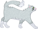 Long Hair Grey and White Cat