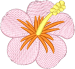Hibiscus