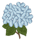 Blue Hydrangea