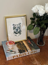 Pet Portrait