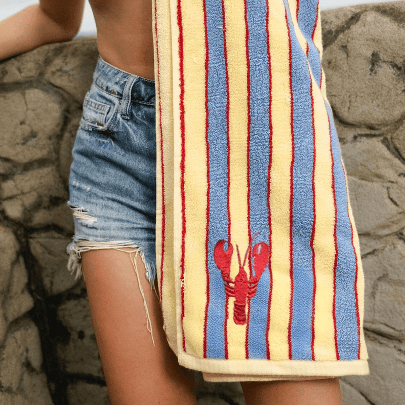 Person holding a striped towel with a lobster design on a rocky surface