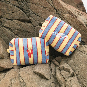 Two striped pouches  on a rocky surface