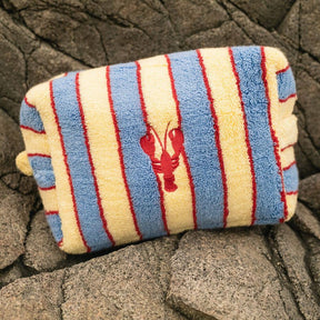 Striped pouch with a lobster design on a rocky surface