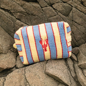 Striped pouch with a lobster design on a rocky surface
