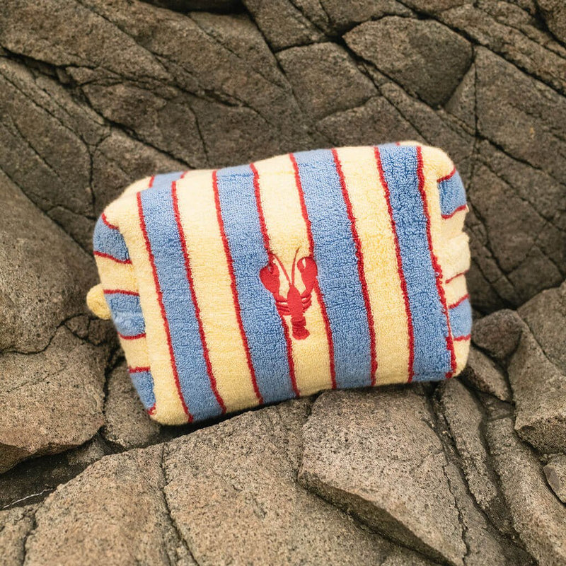 Striped pouch with a lobster design on a rocky surface
