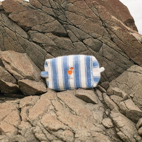 Blue and white striped pouch with a heart pattern on rocky terrain