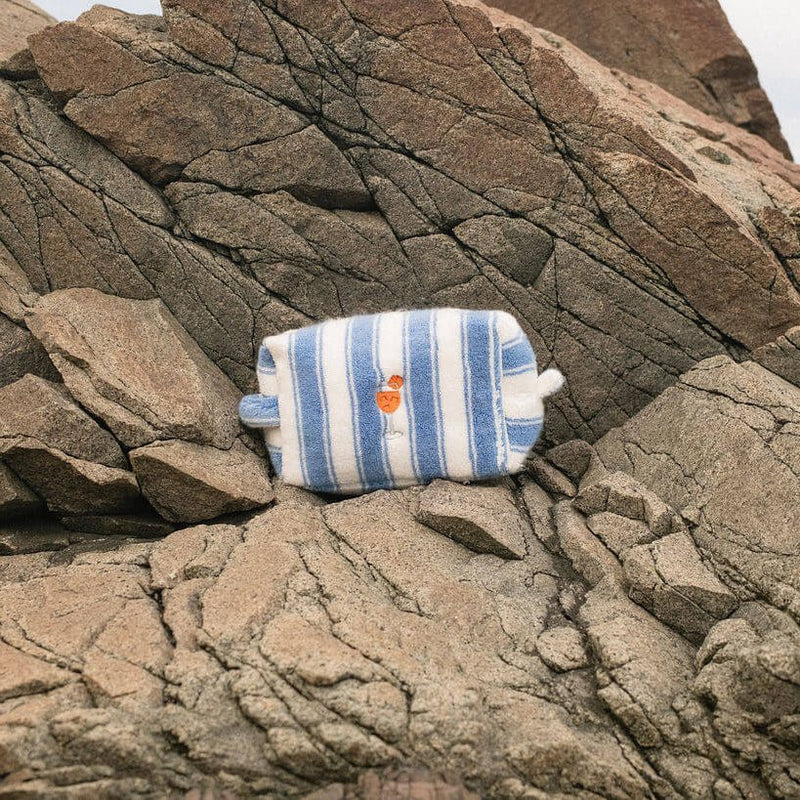 Striped pouch with design on a rocky surface